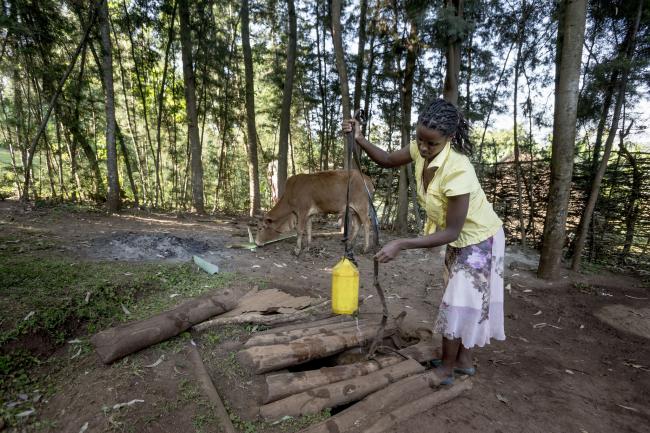 For the cows, Medannet fetches water from an open well. Photo: Petterik Wiggers/Panos Pictures UK