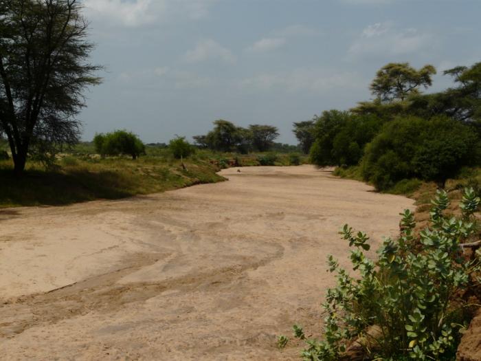 Photo: Mélanie Carrasco, The Kenya Arid Lands Disaster Risk Reduction (KALDRR) WASH project