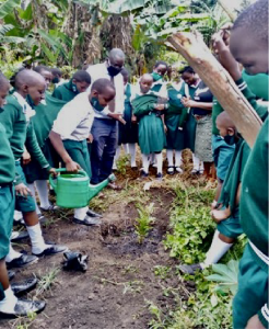 School children planting trees