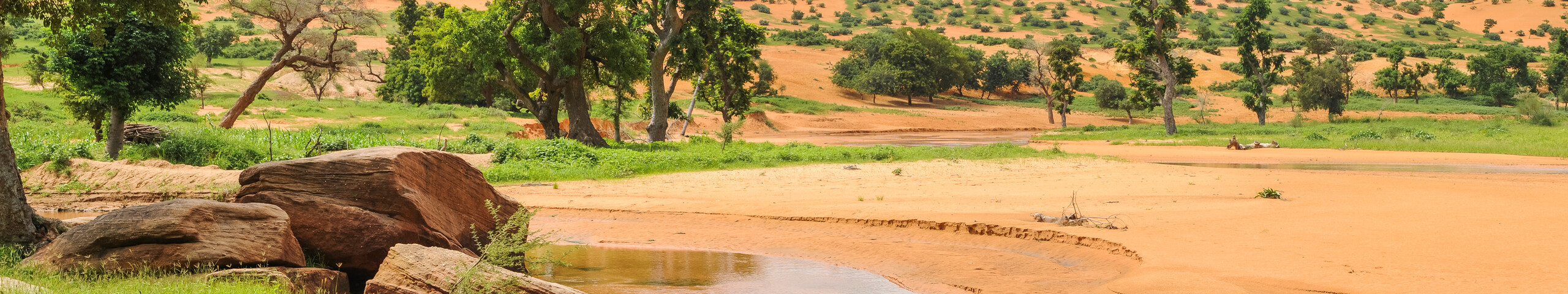 Landscape of Mali