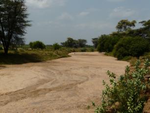 The Kenya Arid Lands Disaster Risk Reduction (KALDRR) WASH project. Photo: Mélanie Carrasco/IRC