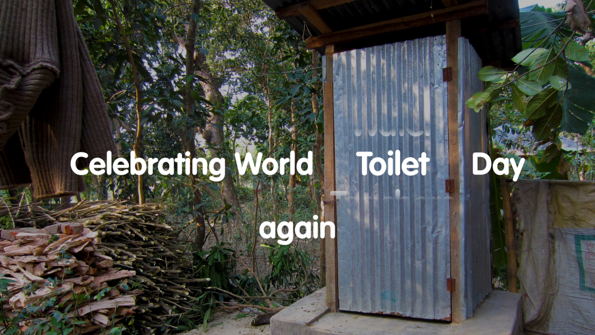 Celebrating World Toilet Day again - a toilet in Bangladesh.